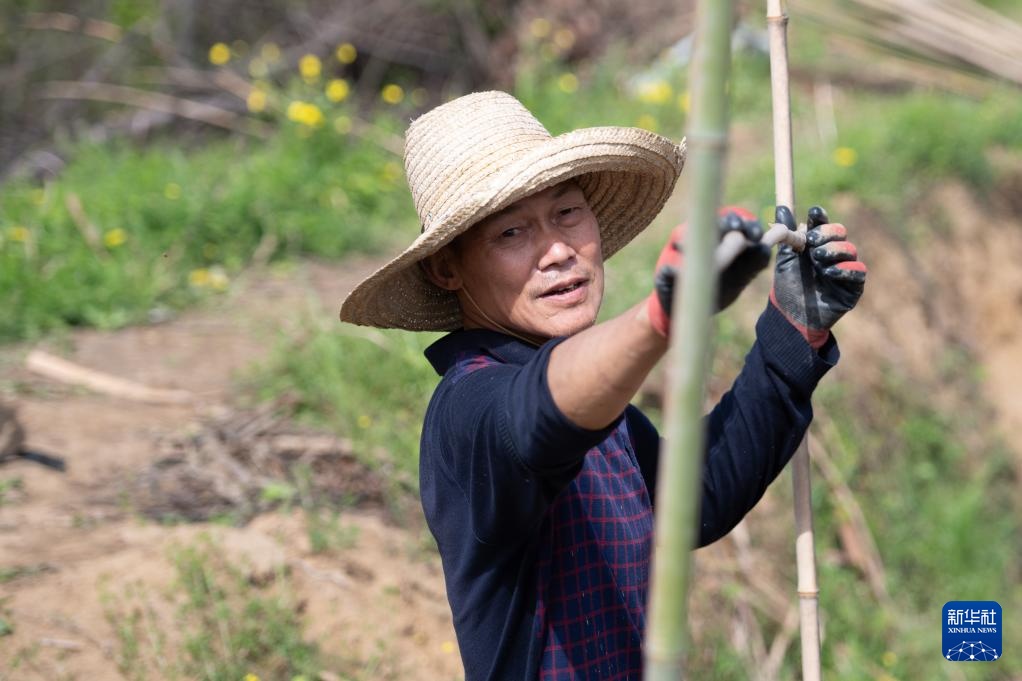 春日农耕忙 姜田孕希望 春日农耕忙 姜田孕希望