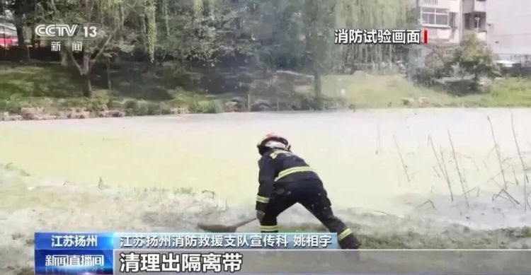 飞絮期提前，警惕“易燃性”堪比汽油！