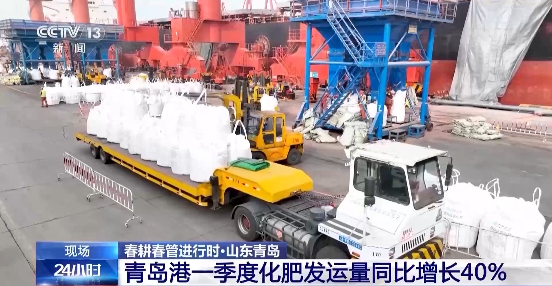 全国早稻育秧已过八成 科技春耕筑牢“粮袋子”