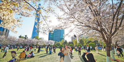 清明假期文旅市场观察：一路春光，一路繁花