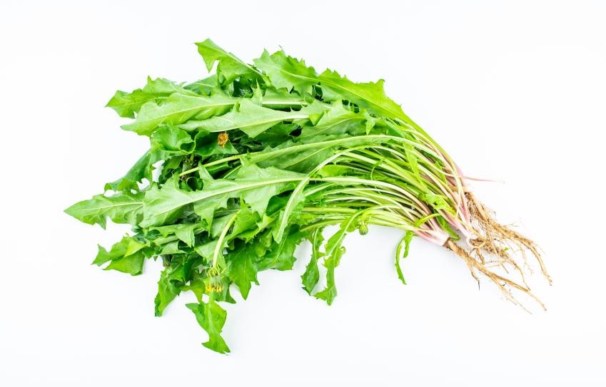 春菜不是人人都能吃，这几类人要慎食