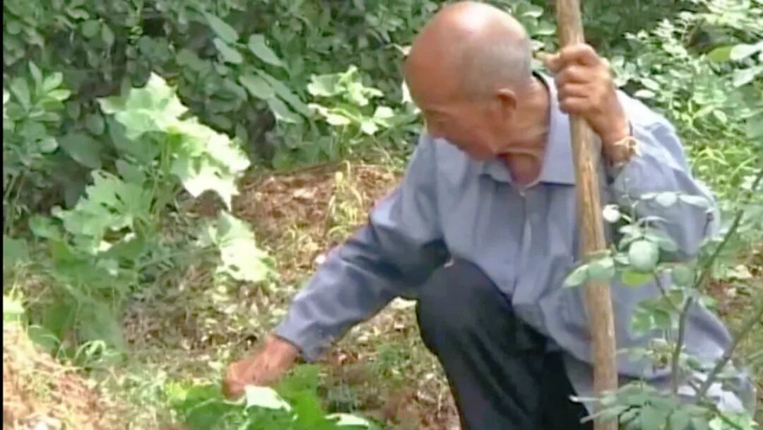 13位"陌生人"被写进家谱 13位"陌生人"被写进家谱