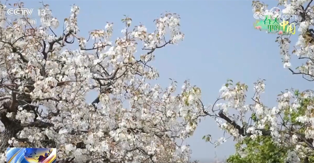 “花样经济”升温解锁大好春光 “春日经济”从“流量”到“增量”潜能不断释放