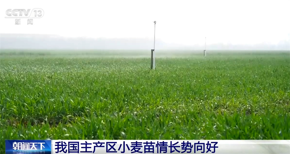 农业“新技术+新装备”勾勒绚丽“科技春耕图” 传统农耕图景变成智慧农业现场