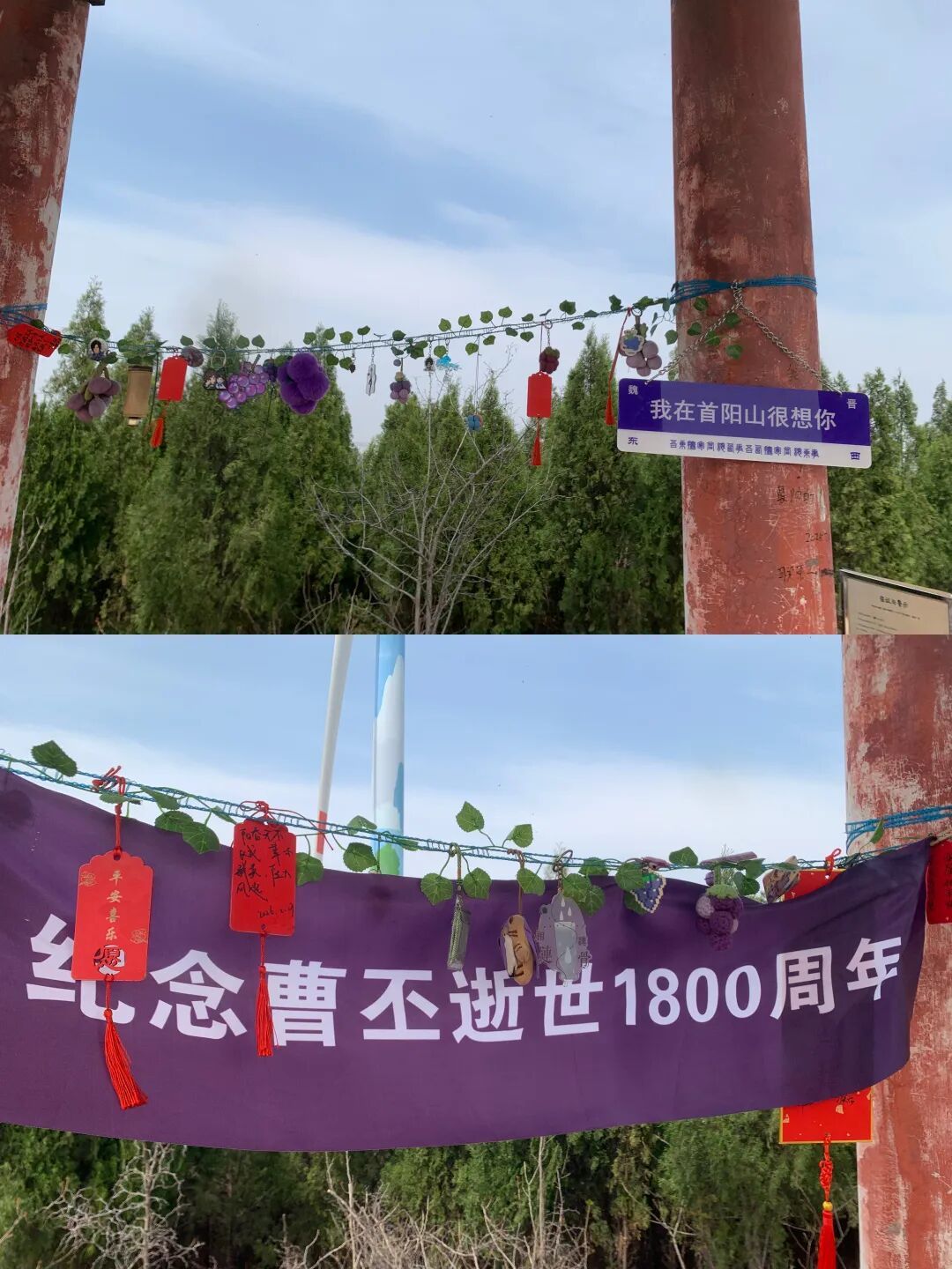 一年上了30多座坟，这届年轻人为何爱上扫墓？