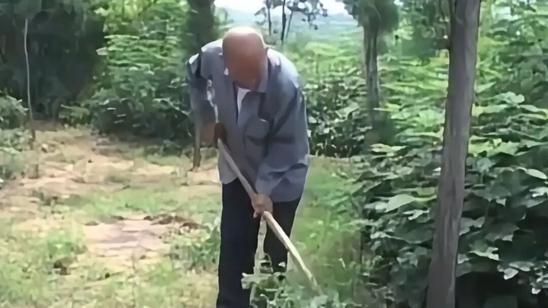 13位"陌生人"被写进家谱 13位"陌生人"被写进家谱