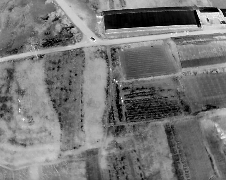 5人夜盗将军墓，被无人机全程锁定现场抓获！