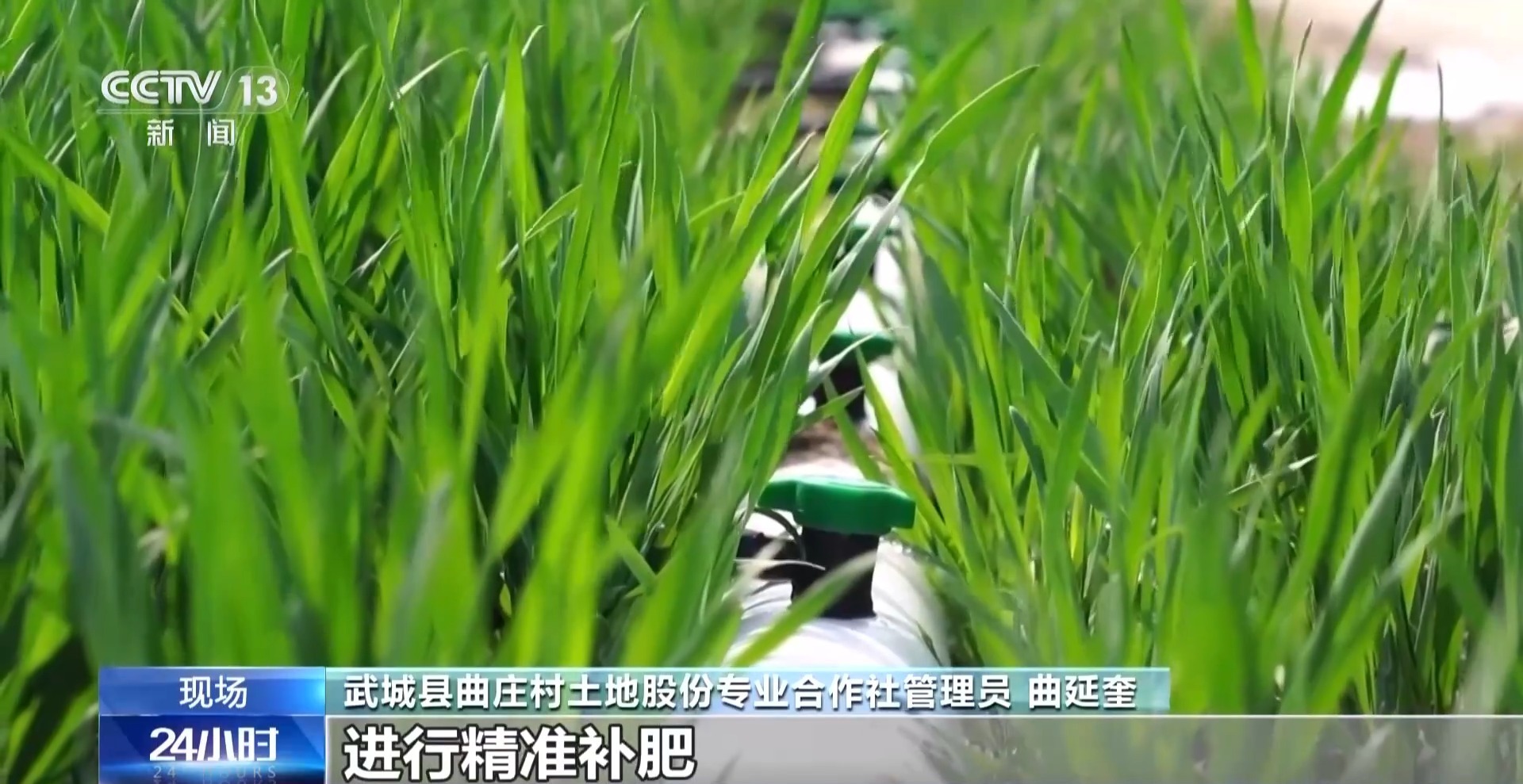 全国早稻育秧已过八成 科技春耕筑牢“粮袋子”