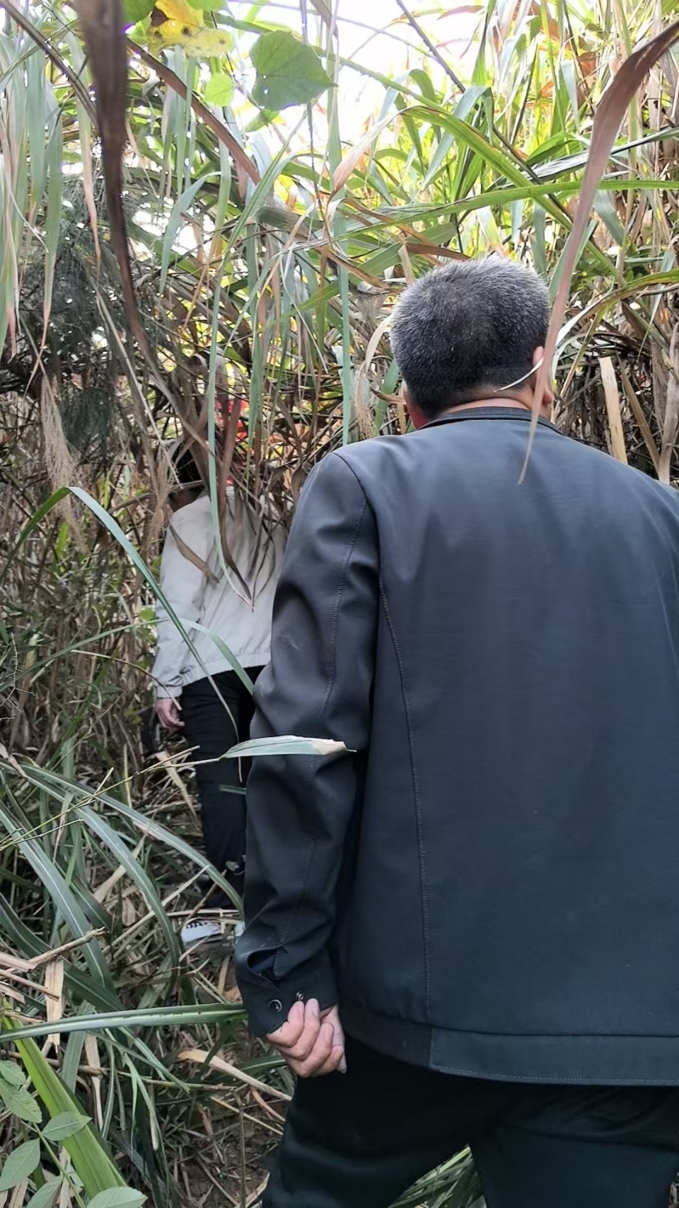 郴州小伙清明爬多座山祭祀16位先祖,花了一天时间:根在这里,祈求祖先保佑 郴州小伙清明爬多座山祭祀16位先祖,花了一天时间:根在这里,祈求祖先保佑
