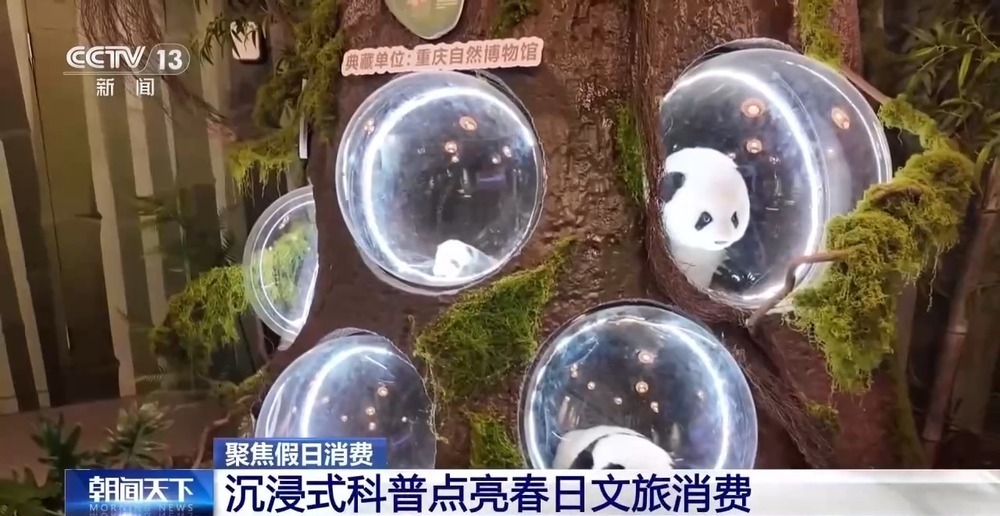 沉浸式科普+儿童友好服务 假期带娃这样玩→