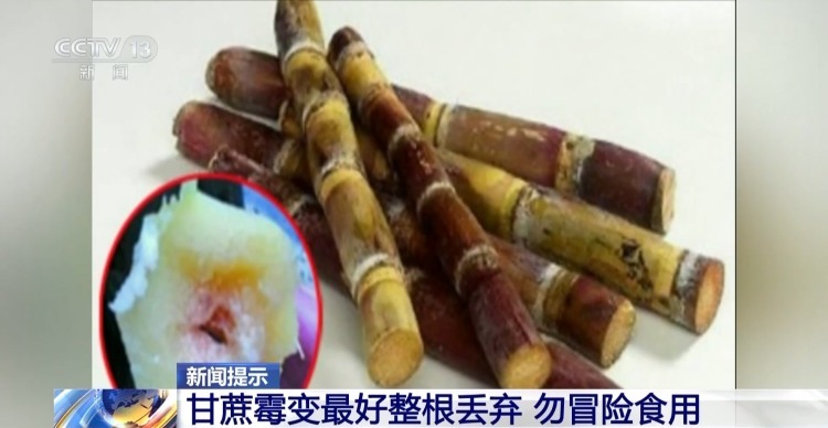 警惕“红心”霉变风险 食用甘蔗时做到四“当心”