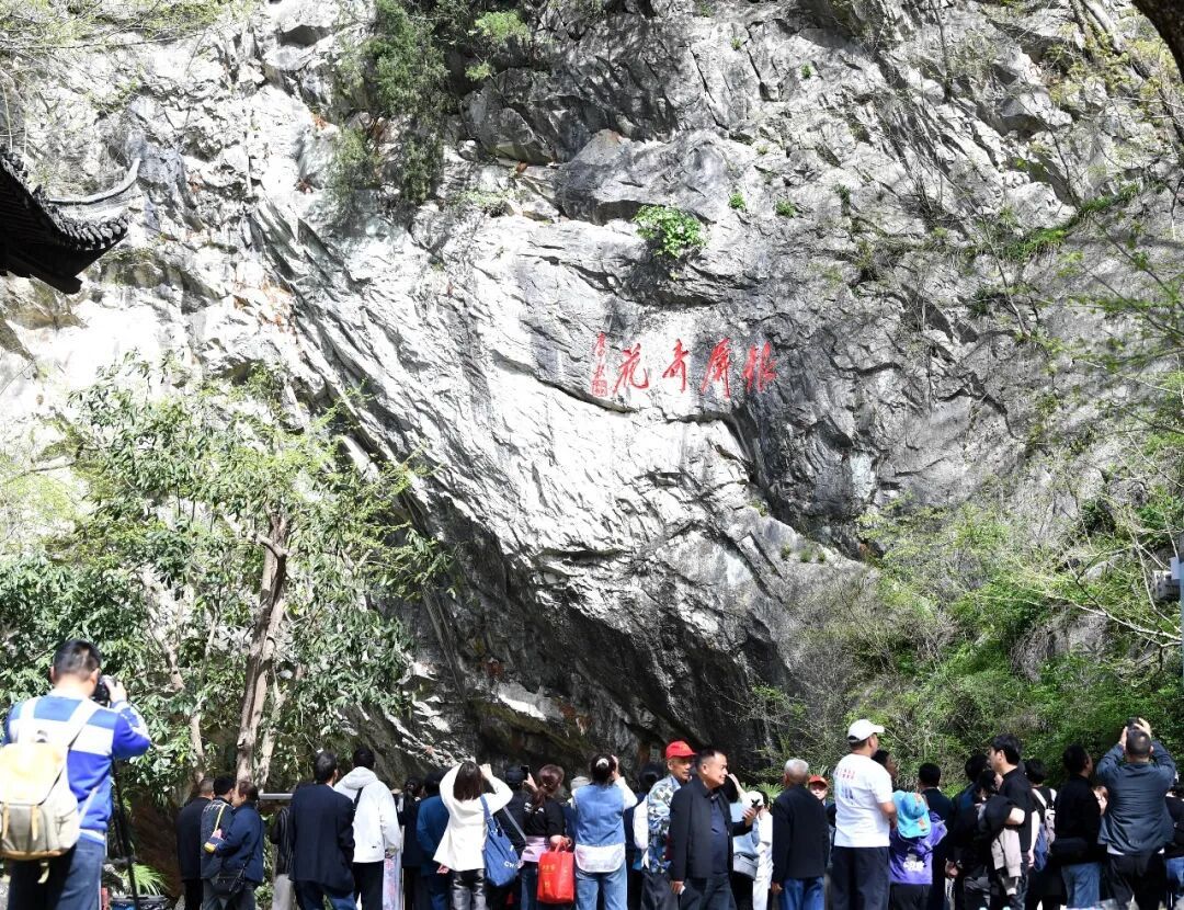 合肥这里的千年野生白牡丹已花开7朵！即将进入最佳观赏期