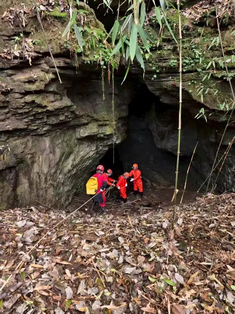 我国最完整羚牛化石，被发现！