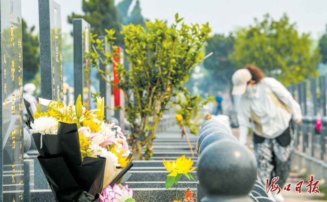 清明节当天海口超5.8万名群众现场祭扫