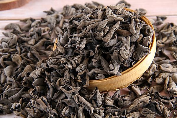 选对木耳、吃对木耳 这几个安全细节要知道 选对木耳、吃对木耳 这几个安全细节要知道