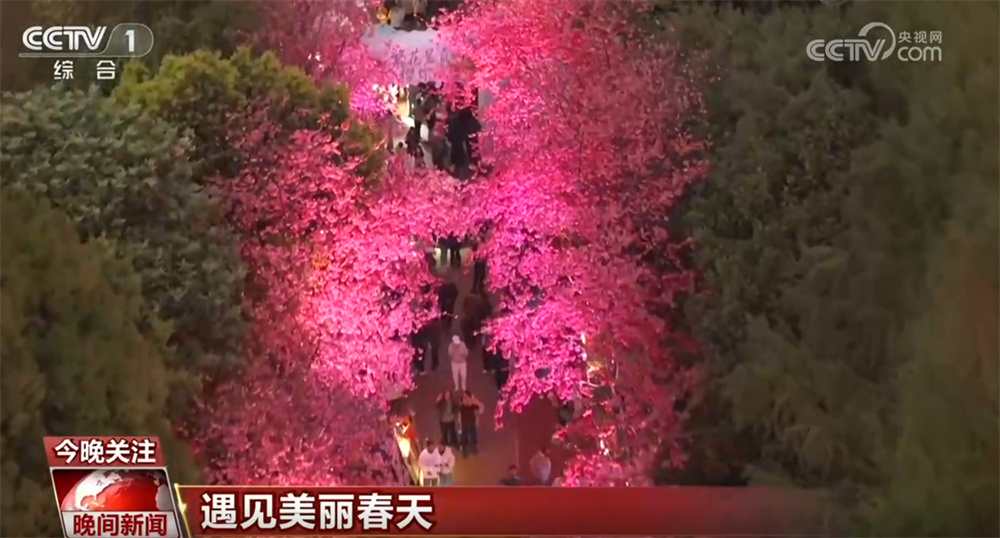 春日“赏花经济”解锁“花式”新玩法 多元“文旅商”融合模式激活消费活力 春日“赏花经济”解锁“花式”新玩法 多元“文旅商”融合模式激活消费活力