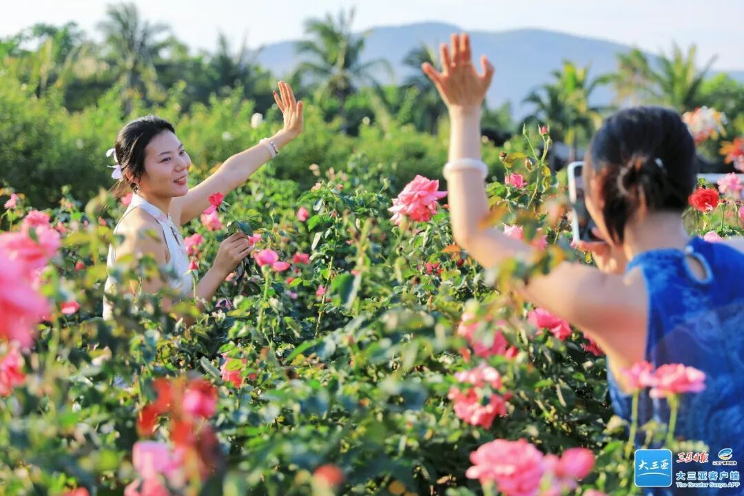 1.4米以下儿童免费！三亚多家景区官宣