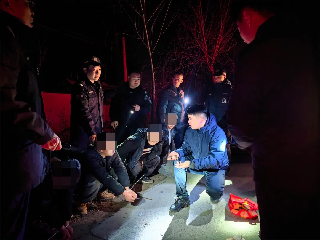 夜盗将军墓，5人被抓获！