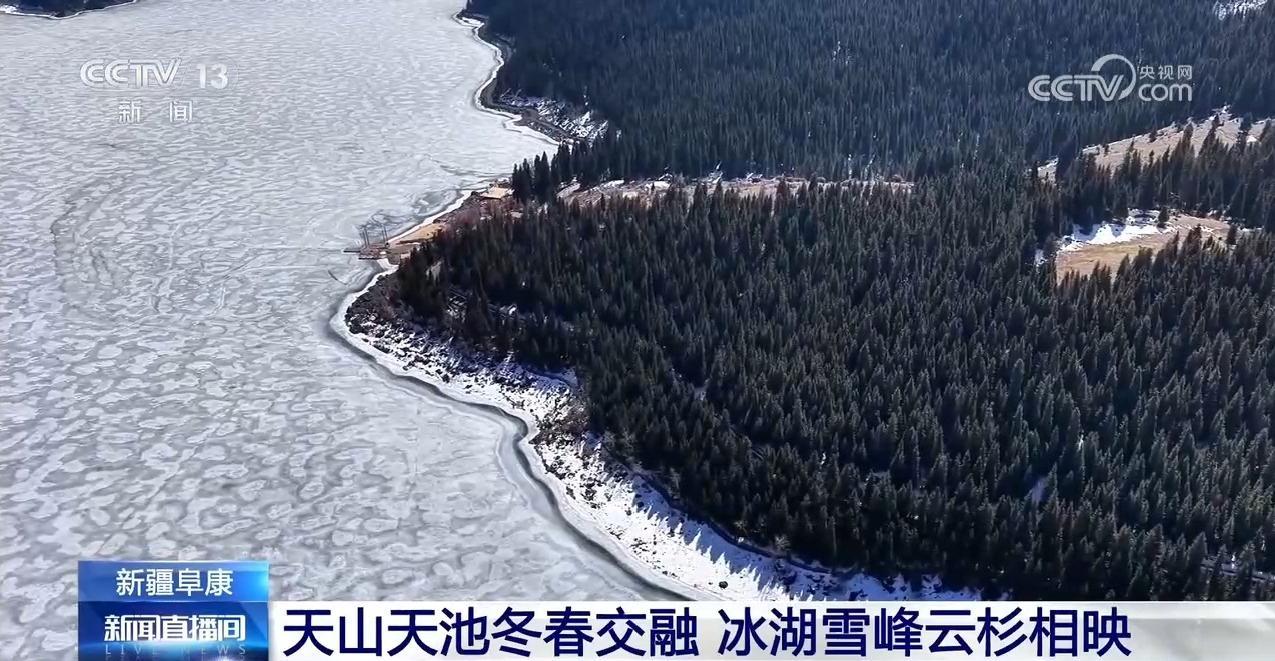 踏青赏春 多地景区迎来客流高峰