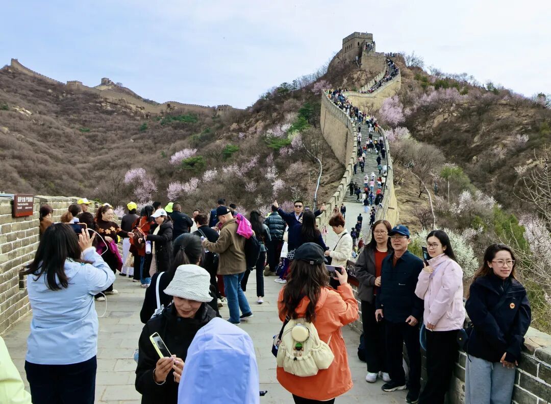 白天赏花，晚上看戏！北京春天就该这么玩→