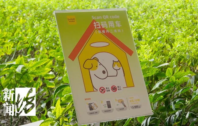 “宠物可进”标识被撤下?上海一些商场收紧“宠物友好”引热议 “宠物可进”标识被撤下?上海一些商场收紧“宠物友好”引热议