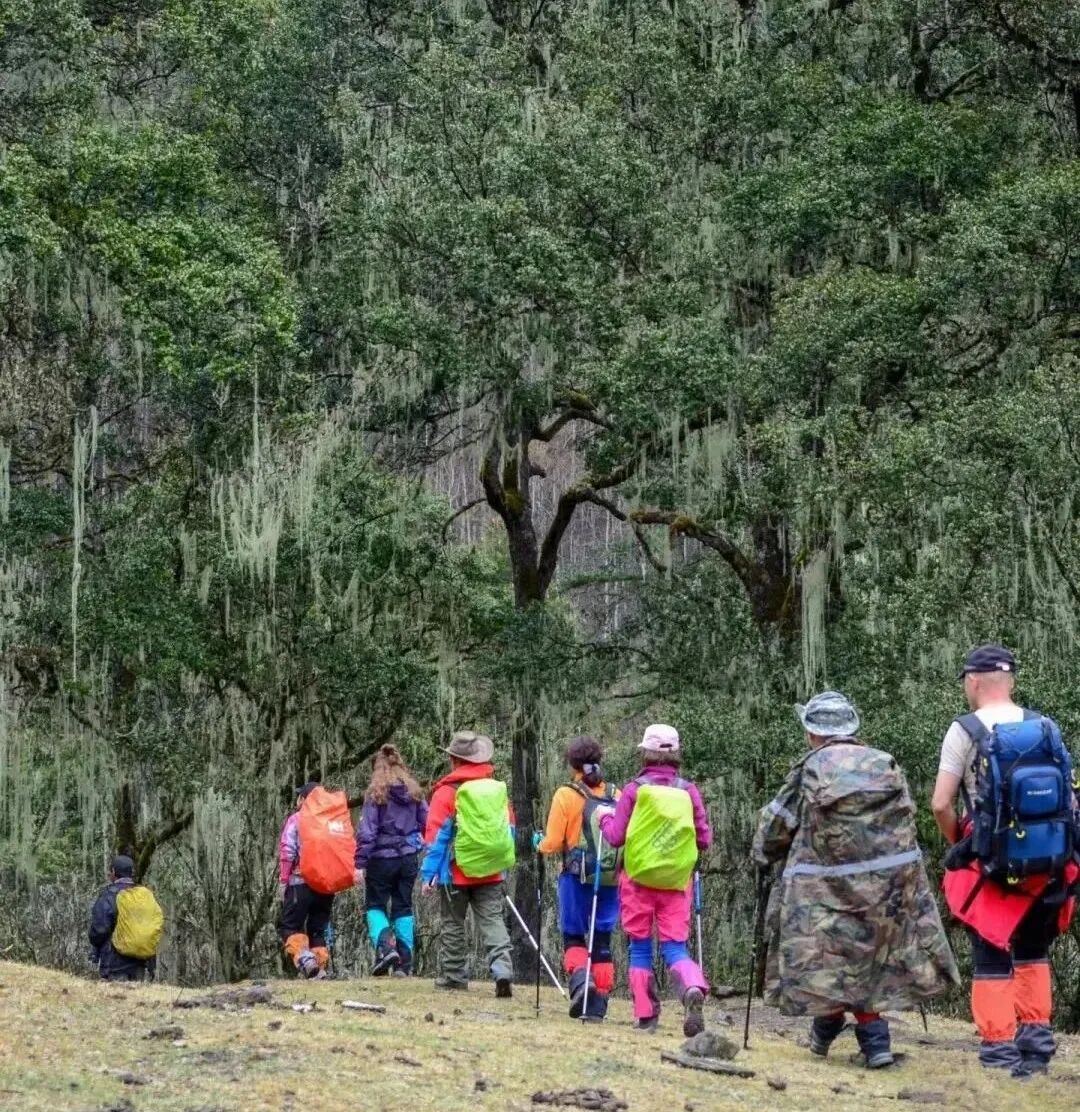 3岁女童被毒蛇咬伤，“假死”3天后奇迹生还！紧急提醒：已进入高发期，警惕！