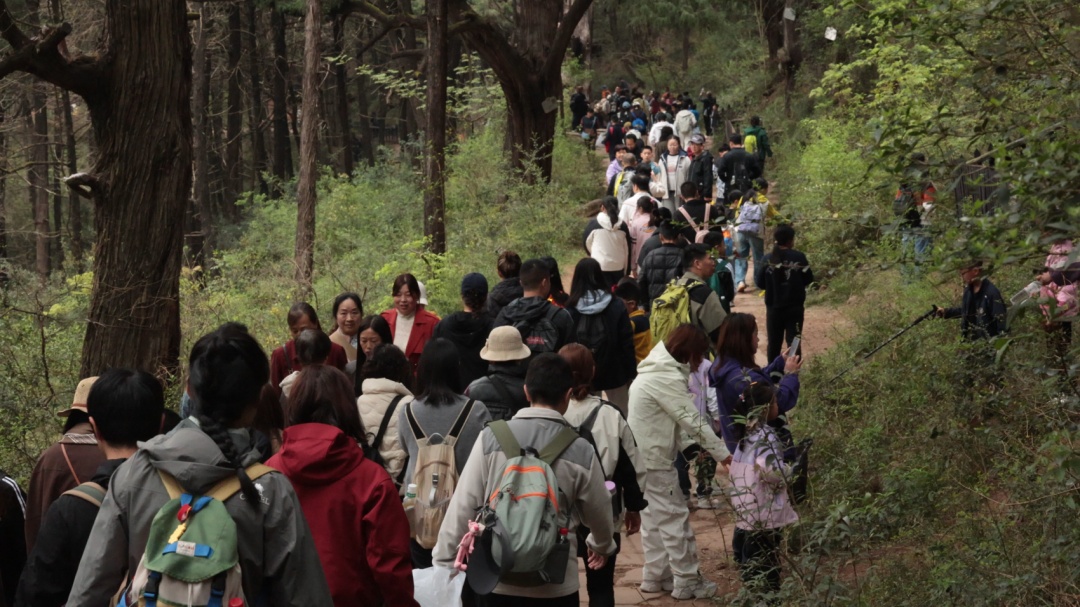 清明门票收入1.42亿元！四川景区“十大顶流”名单公布，九寨沟竟然不是第一