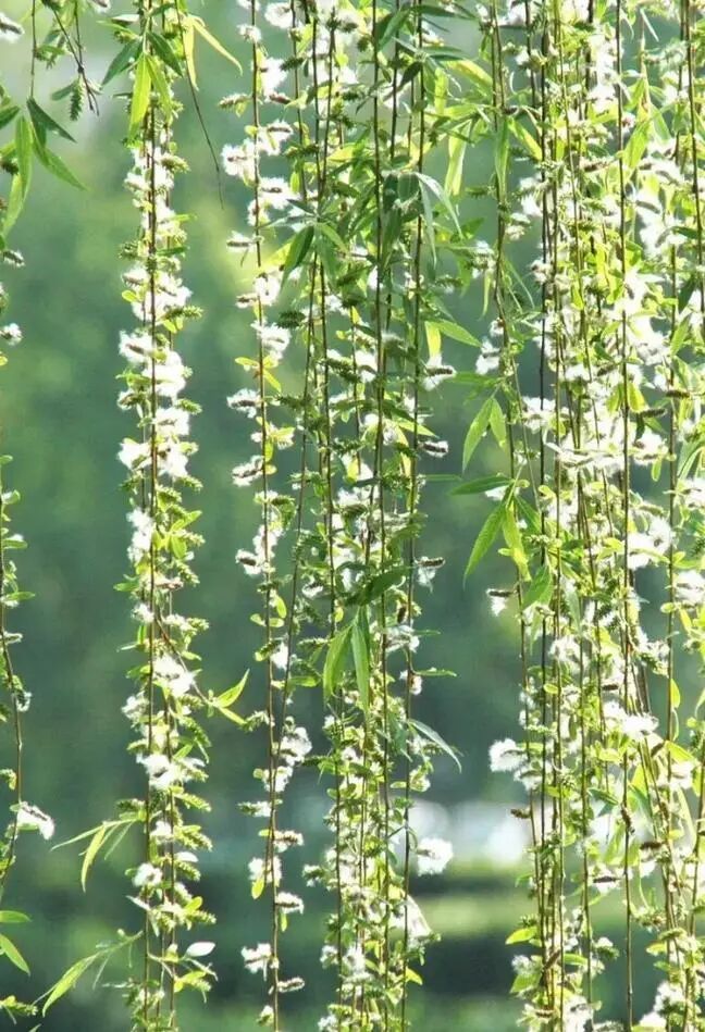 直冲30℃！马上大反转！杭州人赶紧准备，这次来得很猛......