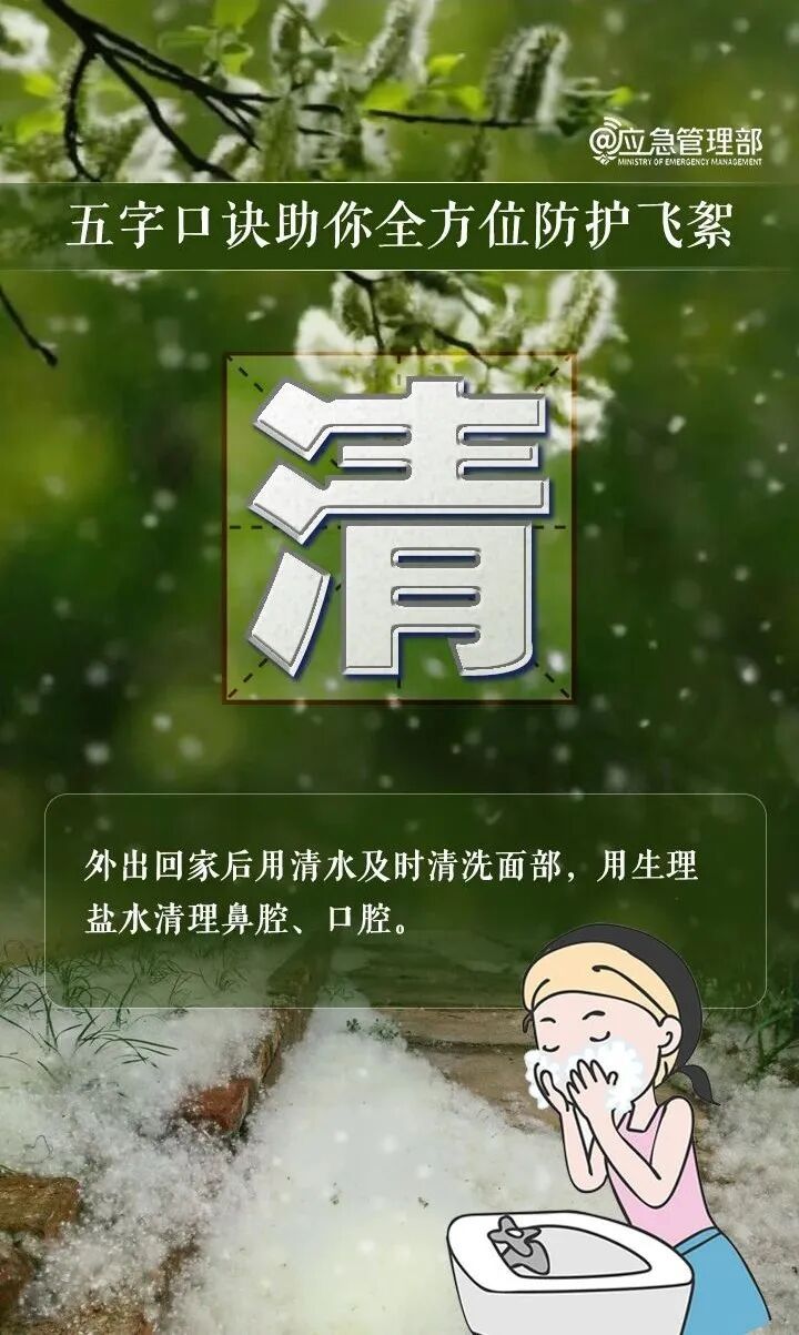 飞絮期提前来了！易燃性堪比汽油，警惕