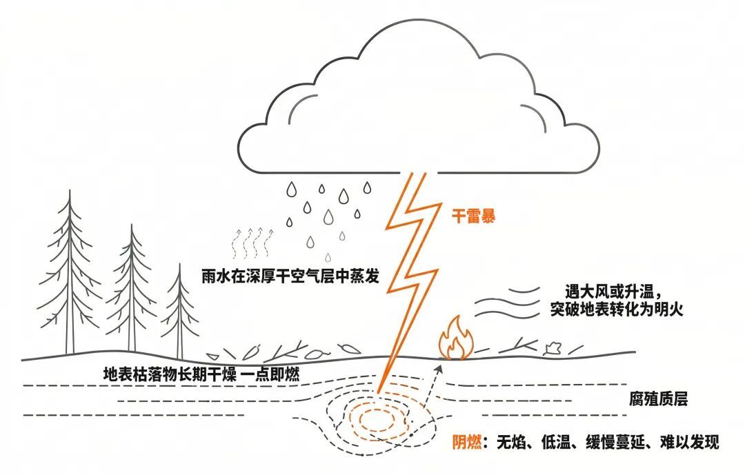 警惕干雷暴！气象如何守护森林草原防火安全？