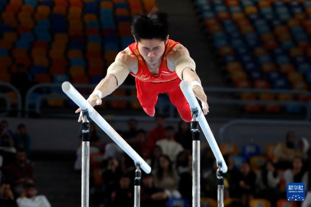 体操世界杯开罗站：刘洋获男子双杠冠军