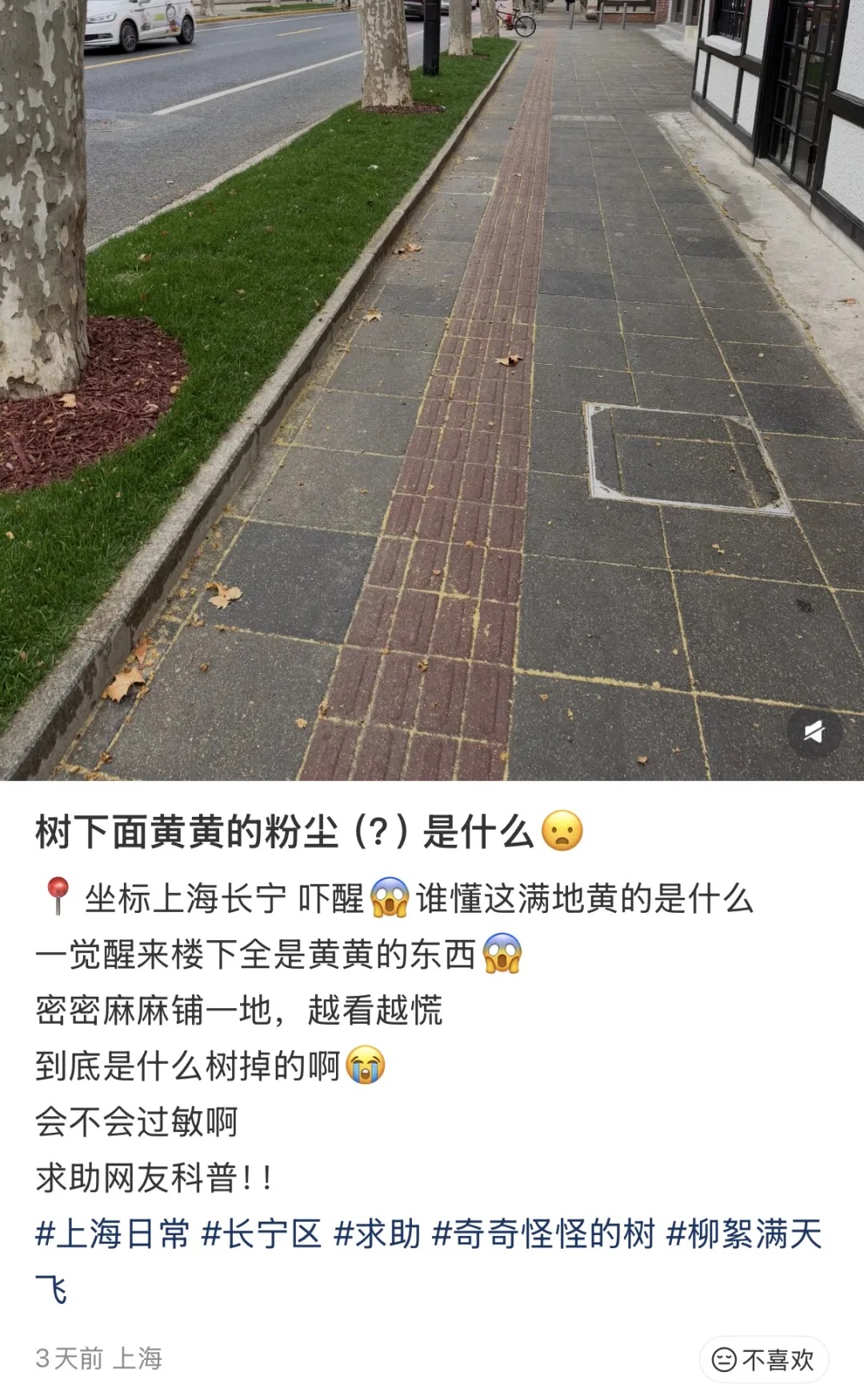 即将集中爆发！上海每个区几乎都有……警惕，可瞬间轰燃一片