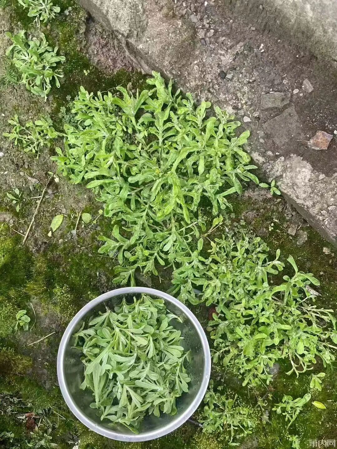 吃了几十年才发现根本不是同款？杭州很多人一直分不清