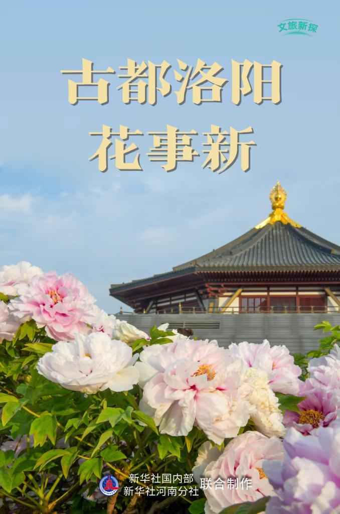 文旅新探|古都洛阳花事新