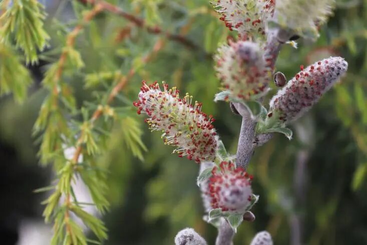 春季过敏，这些用药的坑千万别踩