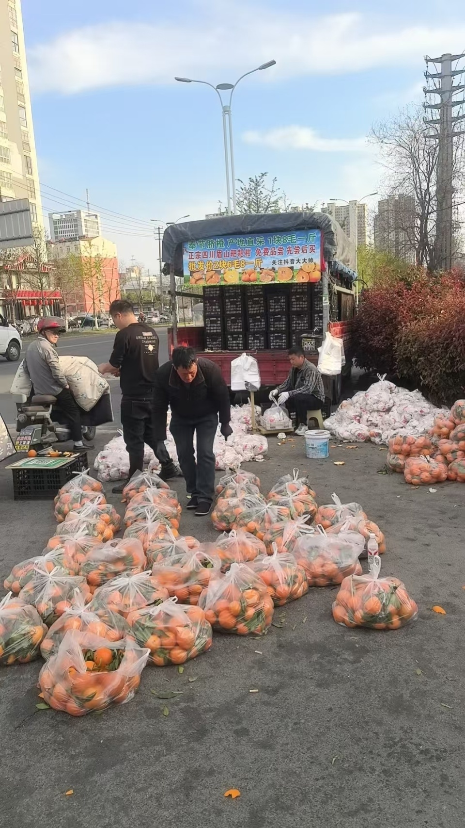 小学生清明徒步扫墓,水果摊大叔“投喂”60斤橙子获赞带火了卖橙生意,当事人回应 小学生清明徒步扫墓,水果摊大叔“投喂”60斤橙子获赞带火了卖橙生意,当事人回应