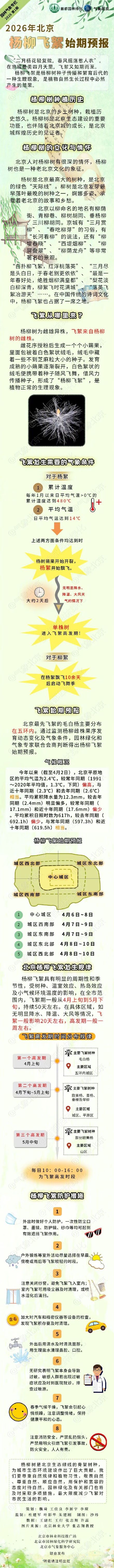 北京迎来2026年首个杨柳飞絮期