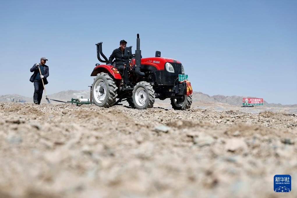 荒滩戈壁播种“绿宝石”