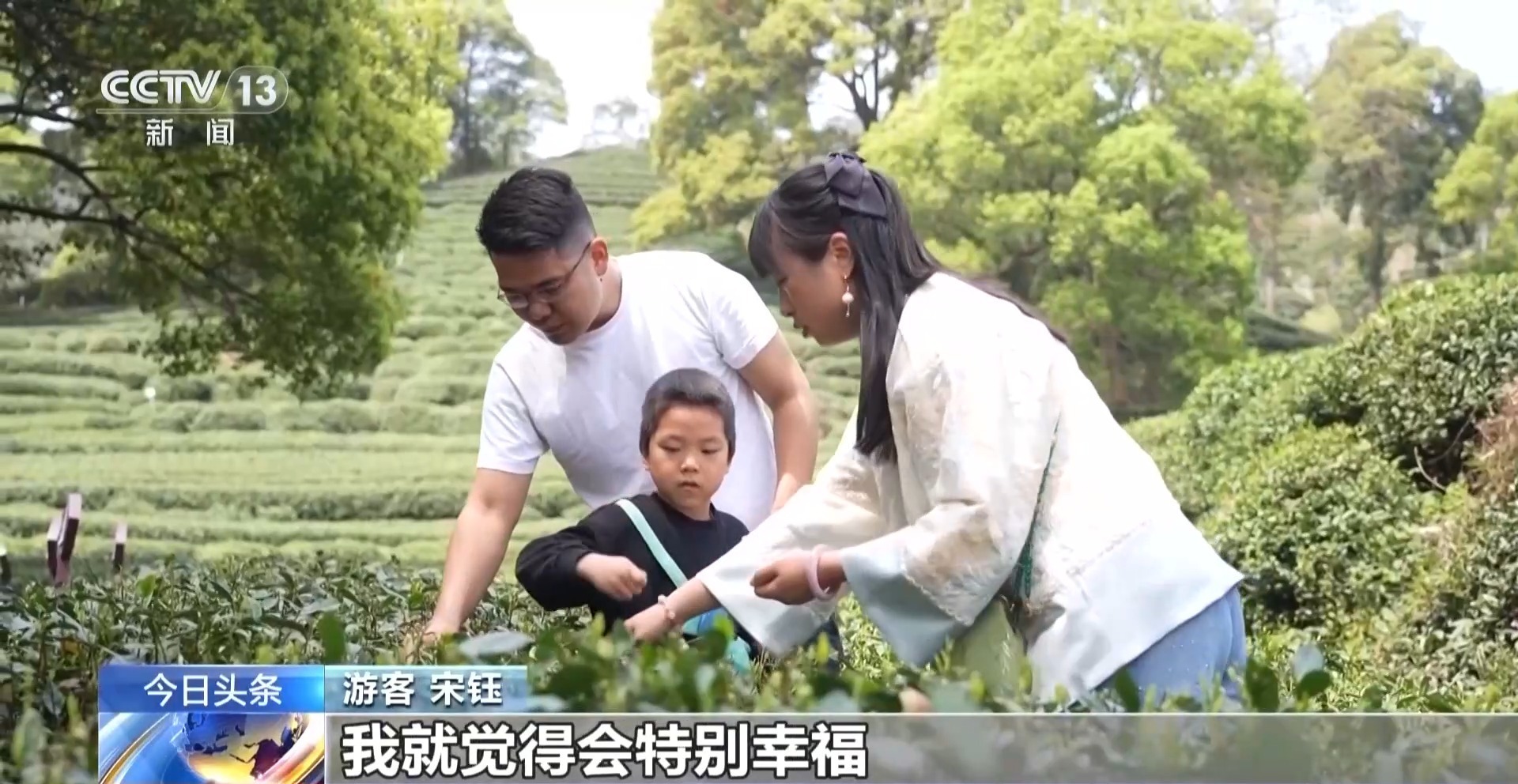 赏花品茶探古韵 春日文旅融合发展绘就多彩画卷