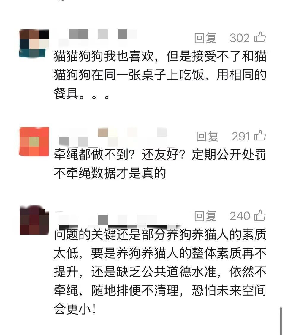 “宠物可进”标识被撤下?上海一些商场收紧“宠物友好”引热议 “宠物可进”标识被撤下?上海一些商场收紧“宠物友好”引热议