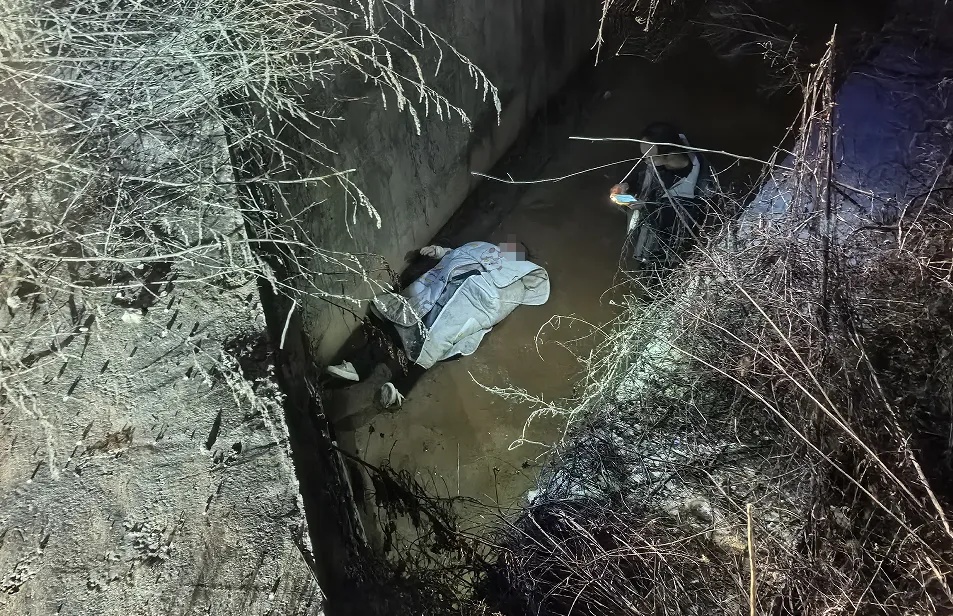 夜归路上身后突然冲出一物，下一秒，她躺在2米深渠里动弹不得......