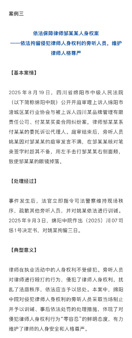 旁听人员击打对方辩护律师被拘三日