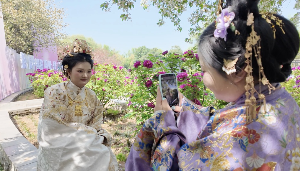 文旅新探|古都洛阳花事新