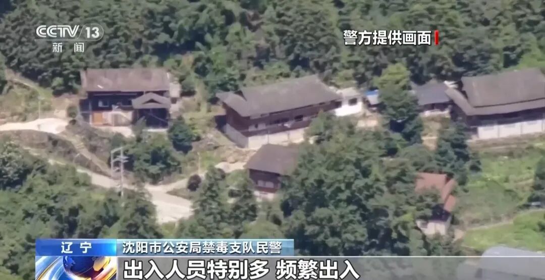 吸食后呕吐、晕厥、说话磕巴：这种“上劲电子烟”的伤害，不可逆