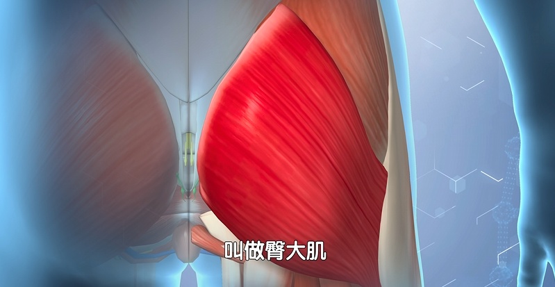 身上这里肉多的人,自带“防癌优势”,2个习惯帮你养出健康好身材 身上这里肉多的人,自带“防癌优势”,2个习惯帮你养出健康好身材