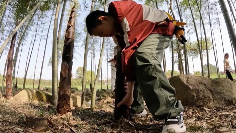 江西新余：“自然课堂”春意浓 清明假期生态游受青睐