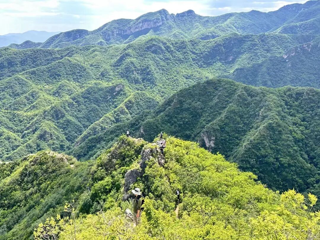 警惕干雷暴！气象如何守护森林草原防火安全？