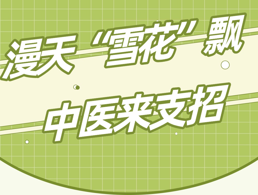 北京提前进入飞絮期！中医防护指南来了，转发提醒易过敏的TA