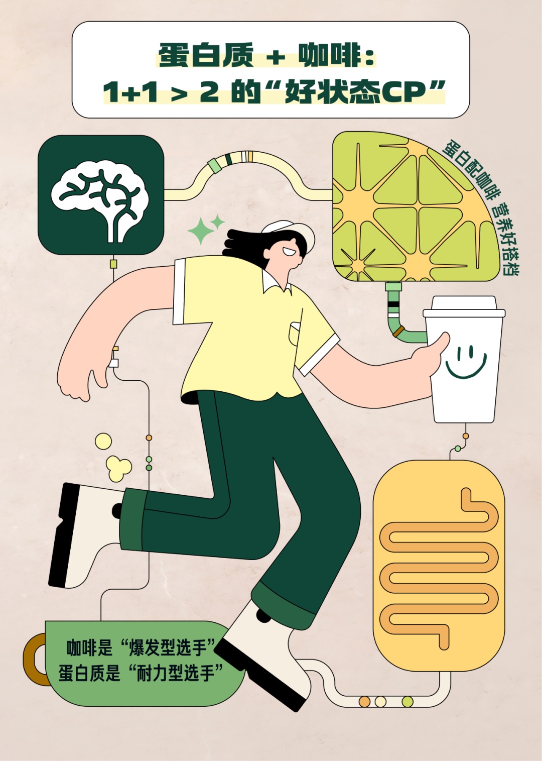 为什么最近总是特别累、掉头发、爱生病?可能是这种营养素没吃够 为什么最近总是特别累、掉头发、爱生病?可能是这种营养素没吃够