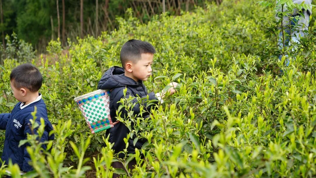 清明门票收入1.42亿元！四川景区“十大顶流”名单公布，九寨沟竟然不是第一